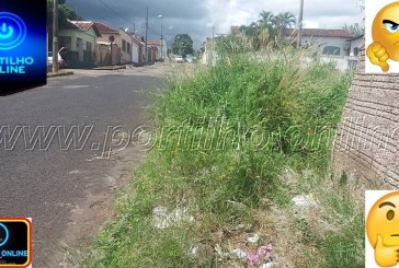 👉😱😝🐍🐀🦂 Bom dia Portilho. Gostaria de fazer uma queixa aqui na sua pagina. Nenhuma autoridade da prefeitura ainda não resolveu.