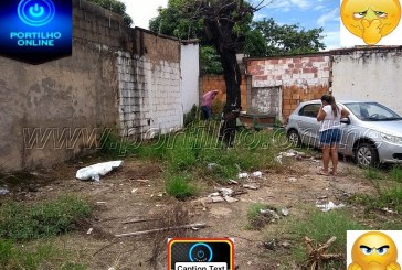 Bom tarde Portilho gostaria de falar sobre o descaso com o lote do antigo estacionamento do BARBOSÃO.