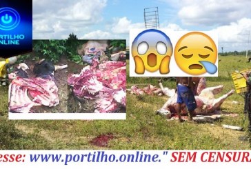 🤔😱🚔🚨😔😪 Abate clandestino e cruel!!Oi Boa noite Portilho Gostaria que não me identificasse.