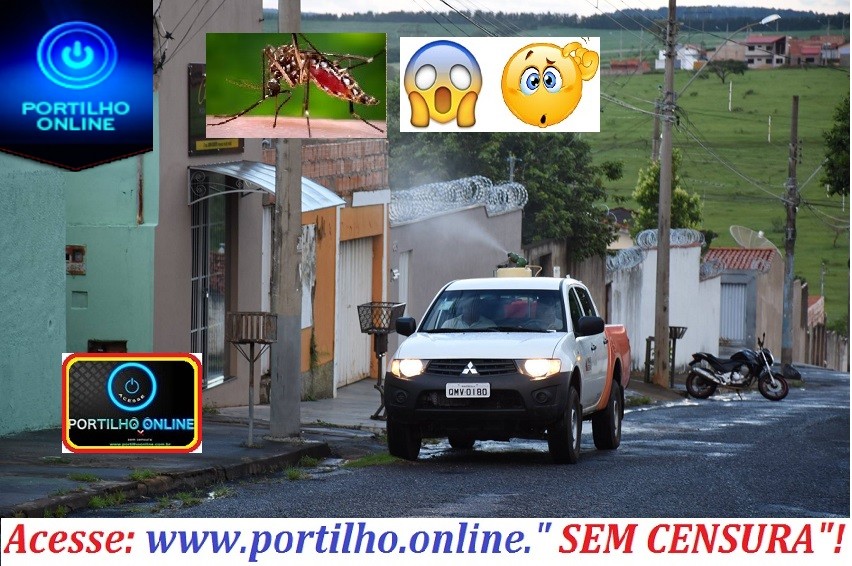 CADE O CARRO FUMACê?!?!?🦟🦟🦟🦟👉😡🙄🤨👎 🦟🦟🦟:evil: Epidemia de pernilongo invadem os bairros da cidade e centro.