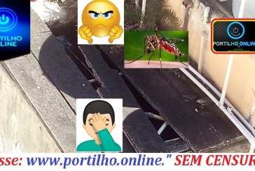 👉😠😱🤔😡💉🌡 CAIXA DO MOSQUITO DA DENGUE! Boa tarde! Pela credibilidade que o www.portilho.online…