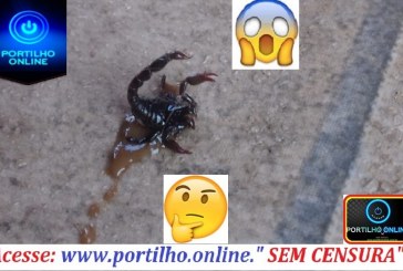 😱👉🤔😳🦂🐍🐁🐴🦗🐜ABANDONO!!! Moradores do bairro Nações são surpreendidos com escorpiões e cobras dentro de sua casa.