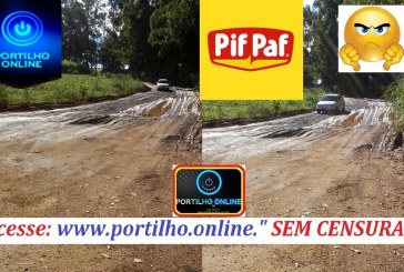 👉😳😱🤔😡😠🚜🚛🚘 ATOLEIRO DE ACESSO A PIF PAF É VERGONHOSO!