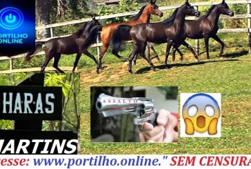 👉🚨🚓😱🤨🚔 ASSALTO! PERDEU! Haras de cavalos de raça é assaltado na noite de domingo.