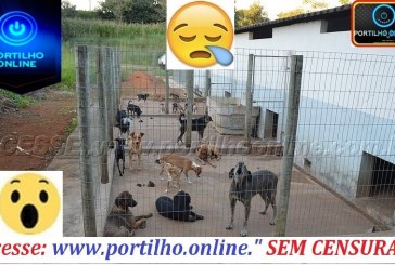 👉🙄🤔😓🐻🐹🐱🐶 Portilho, boa tarde! Tenho uma denúncia para você averiguar.