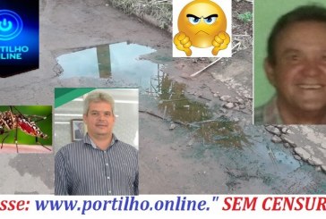 👉🤭😱🤔😠👎 Portilho, Aí meu brother fais uma matéria aí para mim foco de dengue aki em Guimarania já reclamaram para o prefeito mais nada foi feito