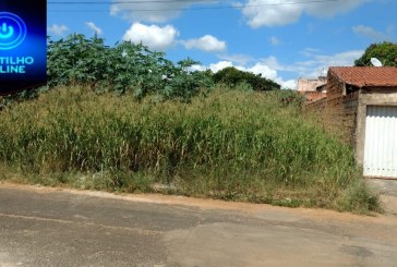 👉🤫😠🤔🤨😡 MATAGAL NO BAIRRO NAÇÕES!!!! Rua Estado Unidos.