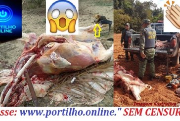 👉👍🚓🚔🚨🐃🐂 CARNE CLANDESTINA É APREENDIA PELA PM. Estada vicinal sentido a Cruzeiro da Fortaleza.