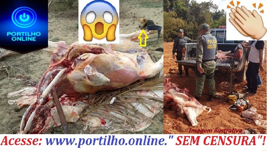 👉👍🚓🚔🚨🐃🐂 CARNE CLANDESTINA É APREENDIA PELA PM. Estada vicinal sentido a Cruzeiro da Fortaleza.