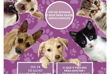 INFORMATIVO DA PMP…. 2ª Campanha de Adoção de Cães e Gatos do Canil Municipal acontece neste domingo