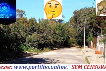 👉🤨🤔😠😡😏 BAIRRO IPIRANGA! Povo isolado! Rua sem progresso e muito mato!