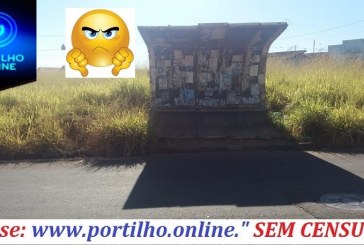 👉👎🤘🙄😡😠Portilho… Olha o mato que está ao redor deste ponto de coletivo.