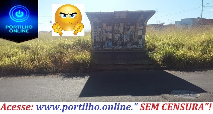 👉👎🤘🙄😡😠Portilho… Olha o mato que está ao redor deste ponto de coletivo.