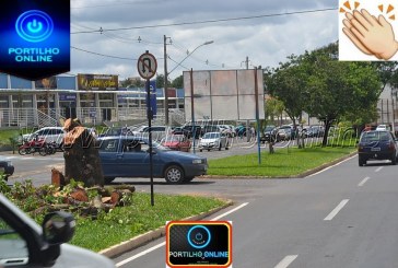 👉🚦🚔🚨🚒🚑🚓🚦Porque mesmo tendo cortado a árvore os “tocadores” ainda provocam acidentes?