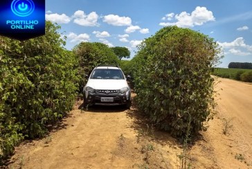 Polícia Militar recupera veículo roubado e prende indivíduo com o veículo clonado