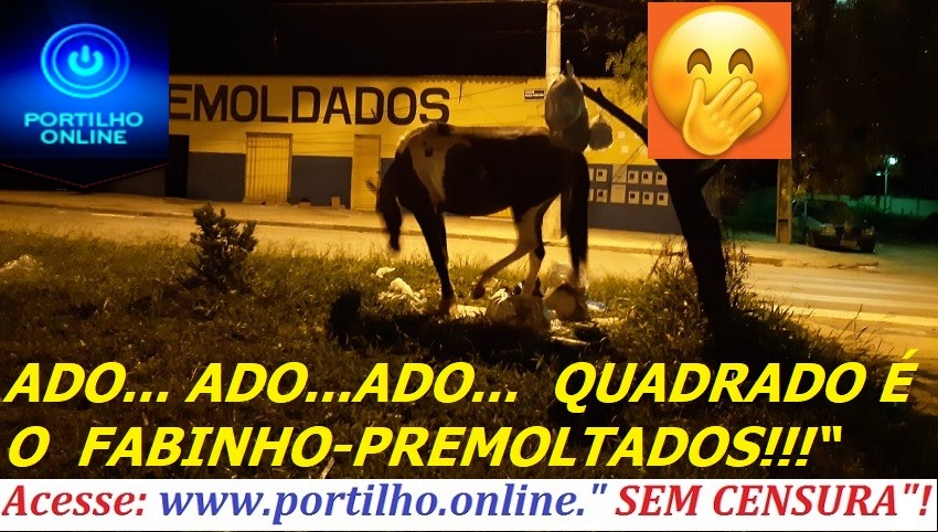 👉🤭🤭🤭 🐎 🎼🎹🎤ADO… ADO… ADO…  QUADRADO É O  FABINHO-PREMOLDADOS!!!“ 🐎Cavalo  no Fabinho pré-moldados vigiando o território”!!!