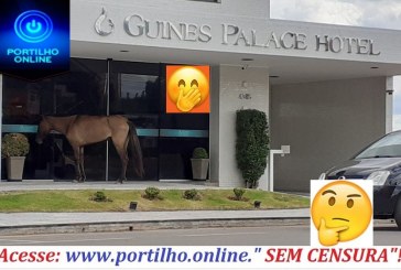 👉🤔🌲🤭🤭🐎🏇 ÔH DE CASA, ÔH DE FORA!!!É NATAL!!! CAVALO CHEGANDO PARA DORMIR  APÓS A RESSACA DO NATAL!