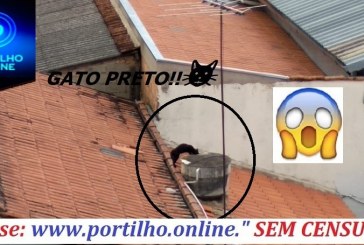 GATO PRETO!!!👉🤔🙄💉🌡💊Portilho, não quero pegar Dengue não 😱😂 caixa d’équa destampada.