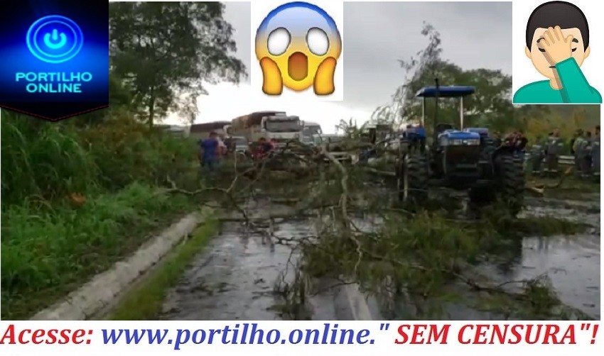 👉😱🙄🤔🚨💦🌨⚡🌩☄🌨🌪💨🌬Portilho, olha o rombo!!! Árvore caiu na Rodovia  MG 187!!! Chuvas de “pedradas” e ventos fortes.