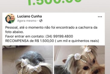 CADELINHA ENCONTRADA!!!!!