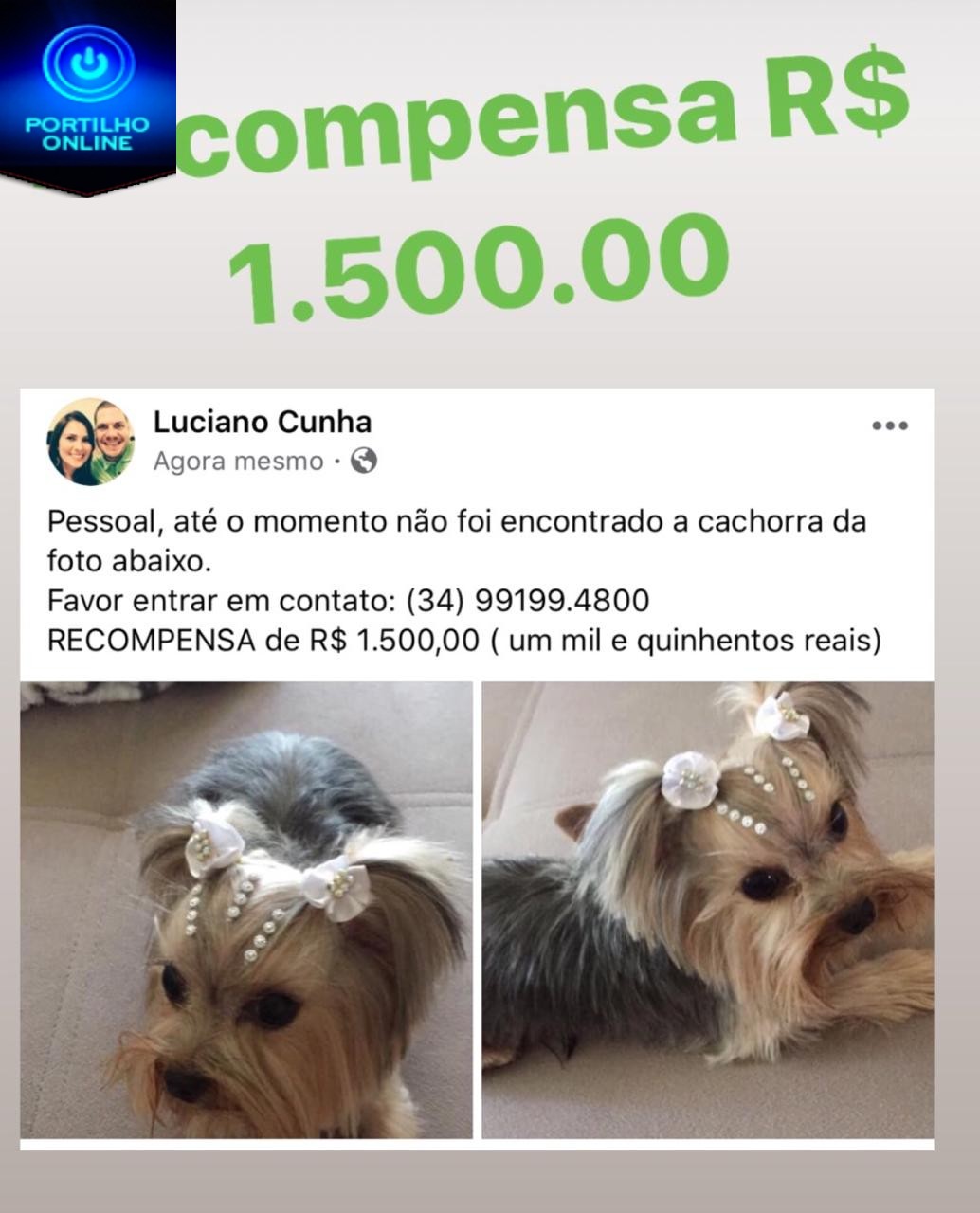 CADELINHA ENCONTRADA!!!!!