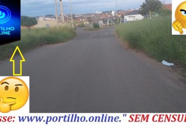 👉😠😡👎✍🤜🤛Portilho nos ajude olha aí o mato no meio da rua….