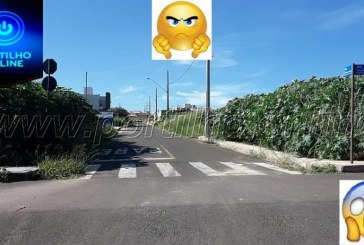 Boa tarde Portilho… Não é lavoura de mamoneiras é o bairro BELVEDERE MESMO!