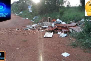 👉🤔😱🤢🤮🤧🐍🦂BAIRRO DONA DIVA ESTÁ TOMADO PELO MATO, LIXO ESPALHADOS E ABANDONO.