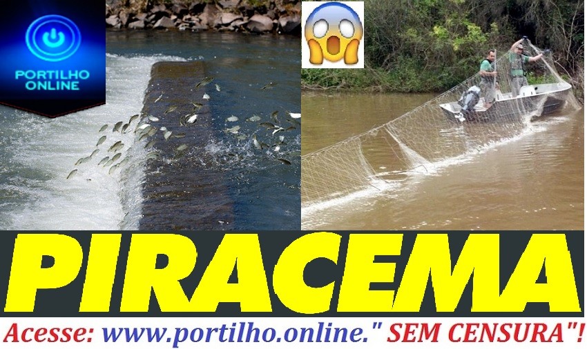 🐠🐡🐟ESTÁ PROIBIDO A PESCA!!!PIRACEMA🐟🐟🐡🐬🐠