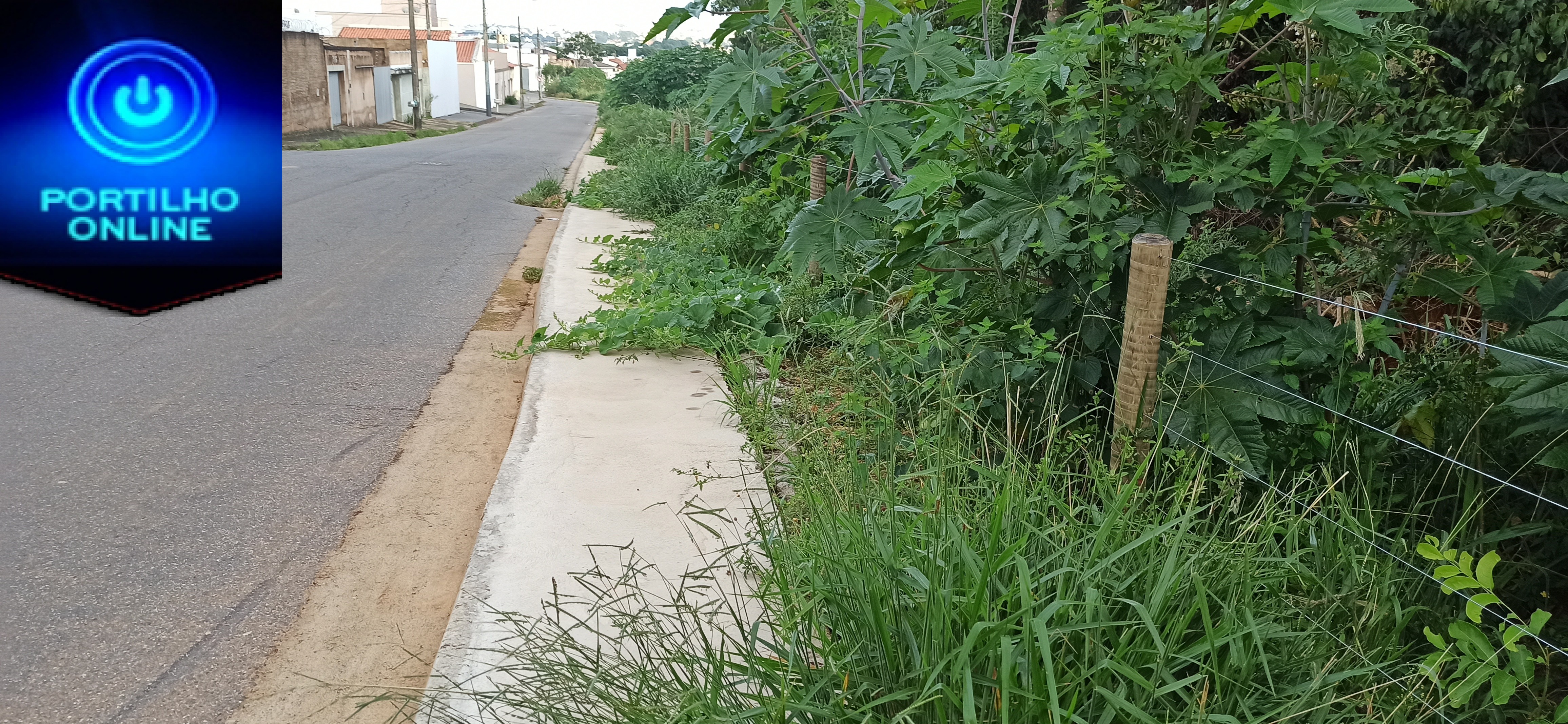 👉😠🚜🤔😡😱 Bairro dona Diva está sendo invadido…