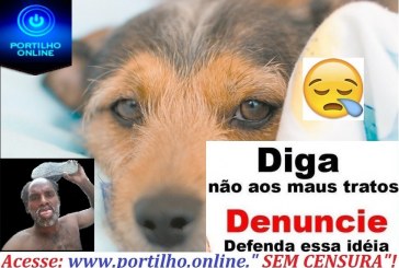 👉😱🚔🐶🐈🐩🐕DENÚNCIA! Boa noite gostaria de ti narrar um fato porem preciso de sigilo.