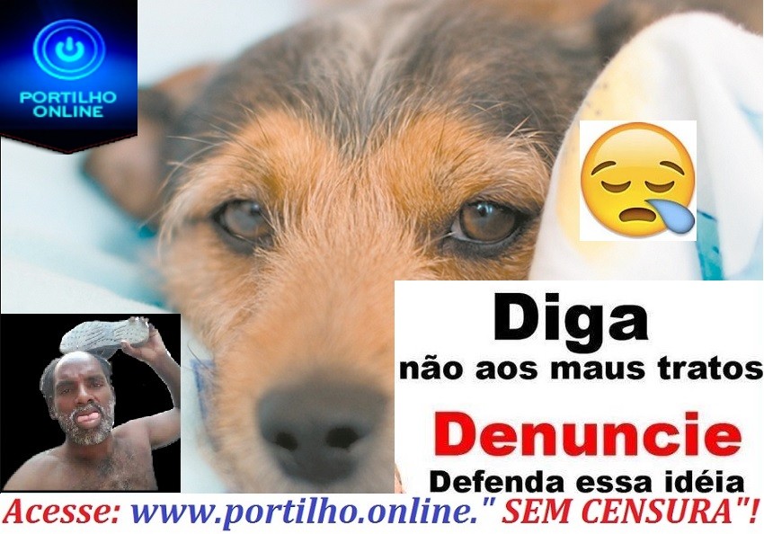 👉😱🚔🐶🐈🐩🐕DENÚNCIA! Boa noite gostaria de ti narrar um fato porem preciso de sigilo.