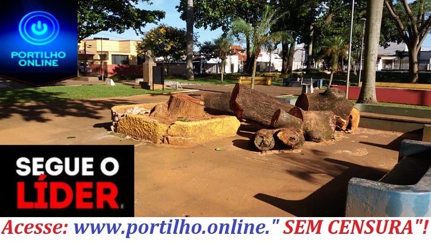 Praça Honorato Borges👉👍👏✍CORTE DE ARVORE NA PRAÇA HONORATO BORGES- PATROCINIO MG.