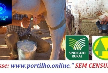 👉😱🐄🥛Já está programado para um grande Lockdown!!! CADÊ o apoio do sindicato rural, cooperativa???