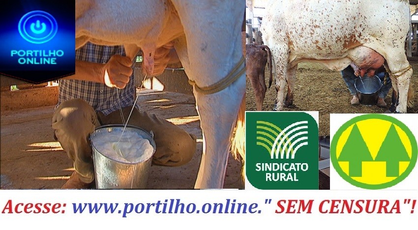 👉😱🐄🥛Já está programado para um grande Lockdown!!! CADÊ o apoio do sindicato rural, cooperativa???