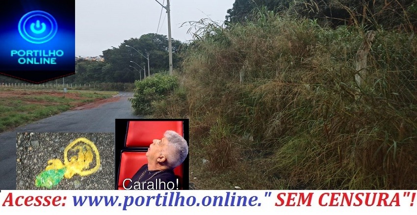 👉🚨🚓🤨🚔😱🔫🕯😍Moradores do Bairro Martim Galego pede ajuda na iluminação pública.