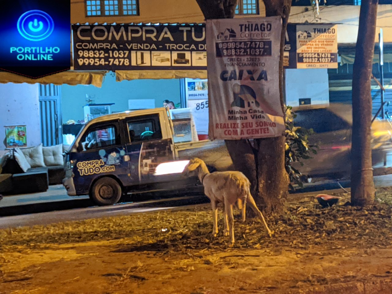 👉🚨🤔🙄🐐🐏🐑Portlho… Deu  ” 🐐”. Já liguei várias vezes na PM tem meia hora e eles não vieram ver as condições do animal.