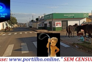 😱🐴🙀🤔🐎🐎Mercado Dona “DIVA”, cercado por cavalos espalhando lixos e atrapalhando o trânsito 