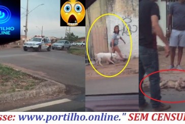 👉🚨😱😠😡🙄🐈😠😪😭ASSISTA O VÍDEIO!!!  Do cãozinho que foi atropelado.