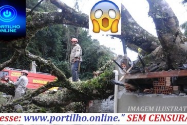 👉🙄🤔✍🌳🌳🌳Portilho… Quero denunciar uma má fiscalização na Praça Santa Luzia…