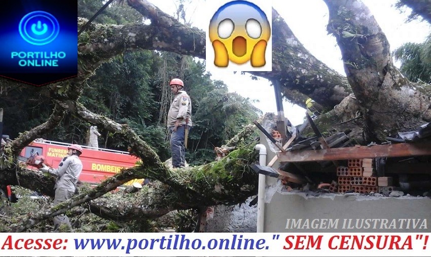 👉🙄🤔✍🌳🌳🌳Portilho… Quero denunciar uma má fiscalização na Praça Santa Luzia…