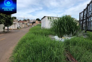 👉✍👊🙄🤔Portilho boa tarde. Tudo bom? Mais uma vez venho te pedir que divulgue o abandono da Rua João Pereira de Queiroz…