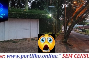 👉🤔🧐👁🤔😱🌳🌲Arvores enfrente a casa do José Carlos Grossi, tombou,  oi vai  tambando e vai cair…