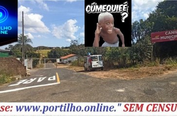 CANIL NÃO ESTA ATENDENDO CHAMADOS DOS MORADORES???? COMO ASSIM???  👉😱🧐🤔🙄🐼🐻🐶🐈🐩🐕Bom dia Portilho!!!  A quantidade de cães pela cidade está tremenda