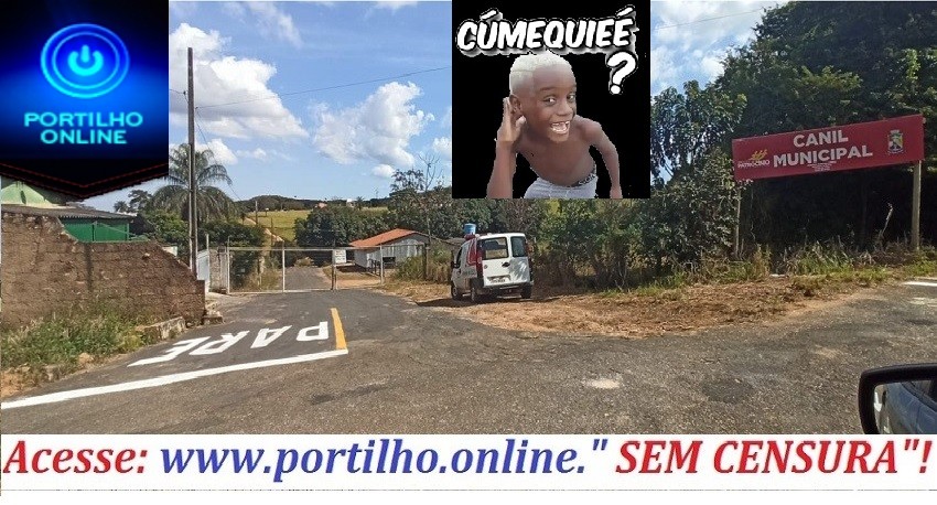 CANIL NÃO ESTA ATENDENDO CHAMADOS DOS MORADORES???? COMO ASSIM???  👉😱🧐🤔🙄🐼🐻🐶🐈🐩🐕Bom dia Portilho!!!  A quantidade de cães pela cidade está tremenda