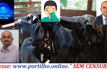 👉🚨⚖🚔🤔🐄🐃🐂🧐🚓🙄Um vereador da cidade de Serra do Salitre é acusado de participar de quadrilha de roubos de gado na região.