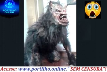 👉😱😱😱🚔🚨🙁🙄😳😳3ª CIPM 01. FATO: APREENSÃO DE ANIMAL DE NATUREZA FOLCLÓRICA