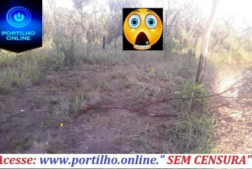 👉😱🚨⚖😯Portilho… Precisa denunciar isso aqui… Estão acabando com os arredores da serra do Cristo… Esse pessoal do MotoCross e os jipeiros e aqueles fuscas apitados par trilhas.