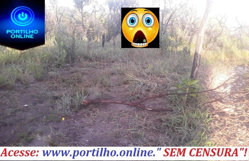 👉😱🚨⚖😯Portilho… Precisa denunciar isso aqui… Estão acabando com os arredores da serra do Cristo… Esse pessoal do MotoCross e os jipeiros e aqueles fuscas apitados par trilhas.