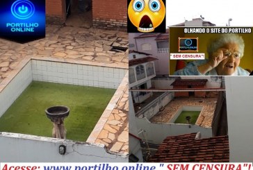 👉😱🤔😷😯👎👎👊PISCINA DA DENGUE E DA Chikungunya na Rua Joaquim Otávio de Brito no lado do med center.